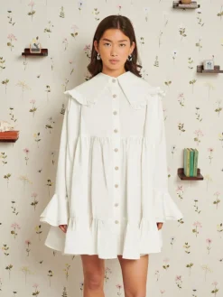 Sister Jane Curious Collar Mini Dress | Women Dresses