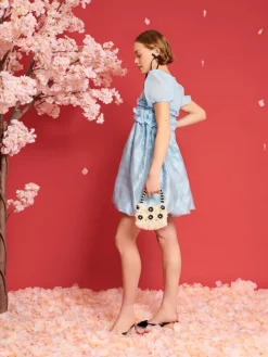 Sister Jane DREAM Brooke Organza Mini Dress | Women Dresses | Dream