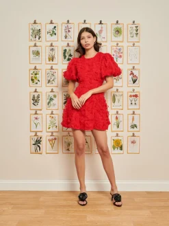 Sister Jane DREAM Doris Floral Mini Dress | Women Dresses | Dream